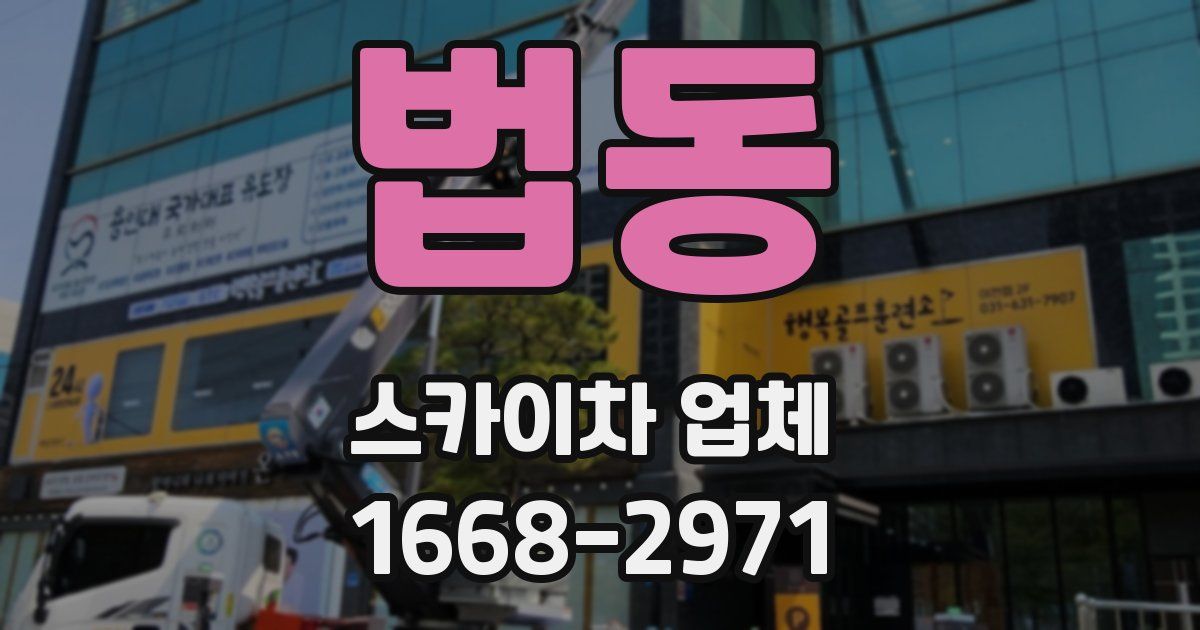 법동 스카이차 업체
