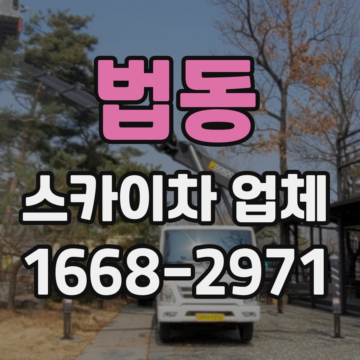 법동 스카이차 업체