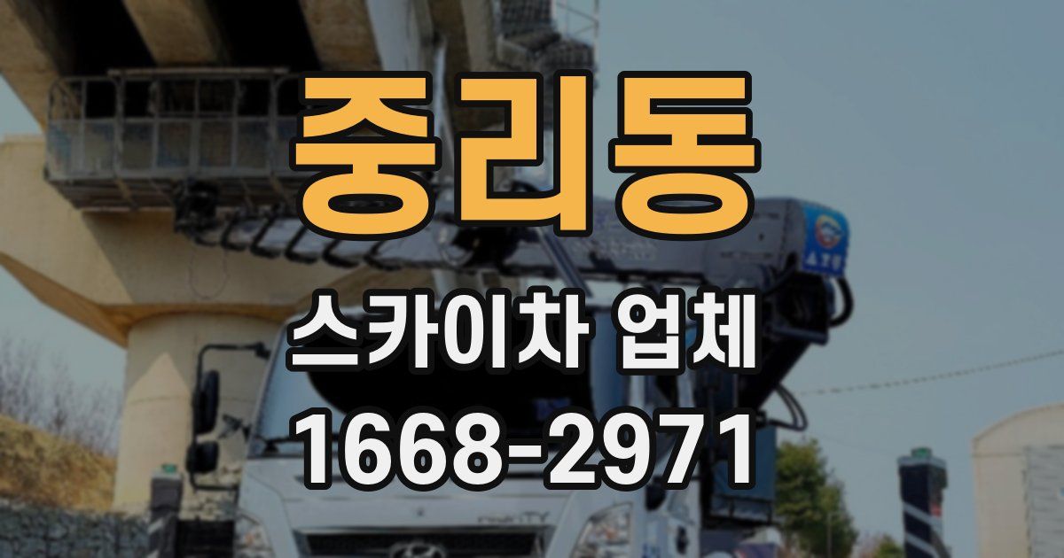 중리동 스카이차 업체