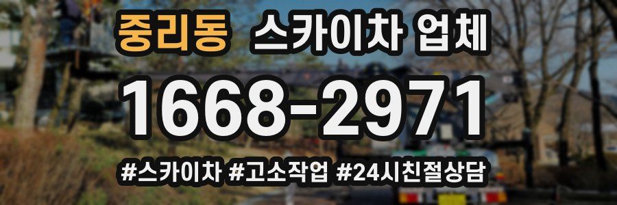 중리동 스카이차 업체