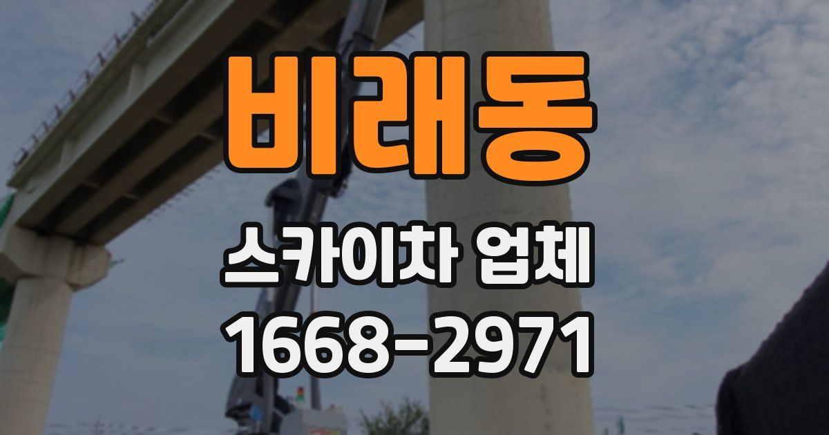 비래동 스카이차 업체