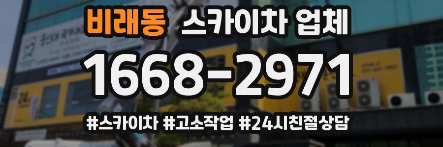 비래동 스카이차 업체