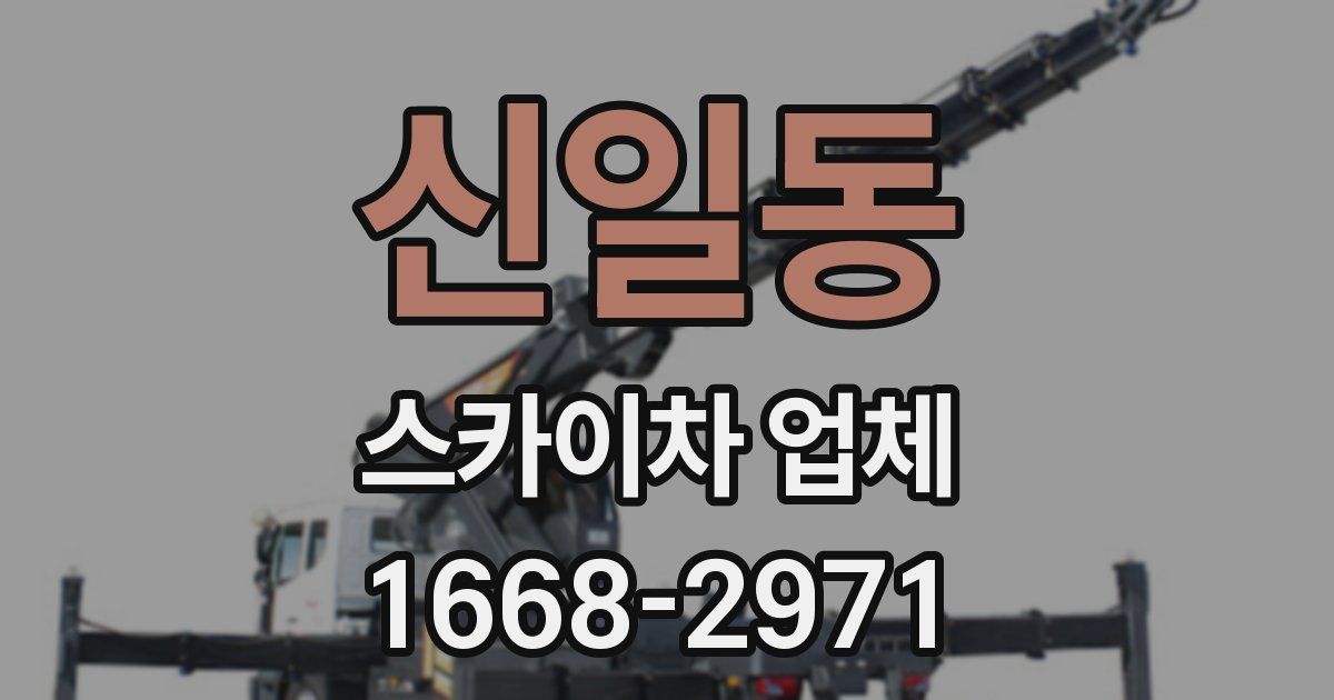 신일동 스카이차 업체