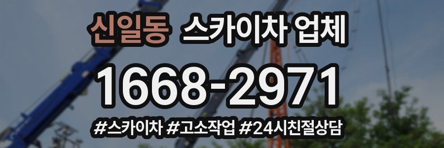 신일동 스카이차 업체