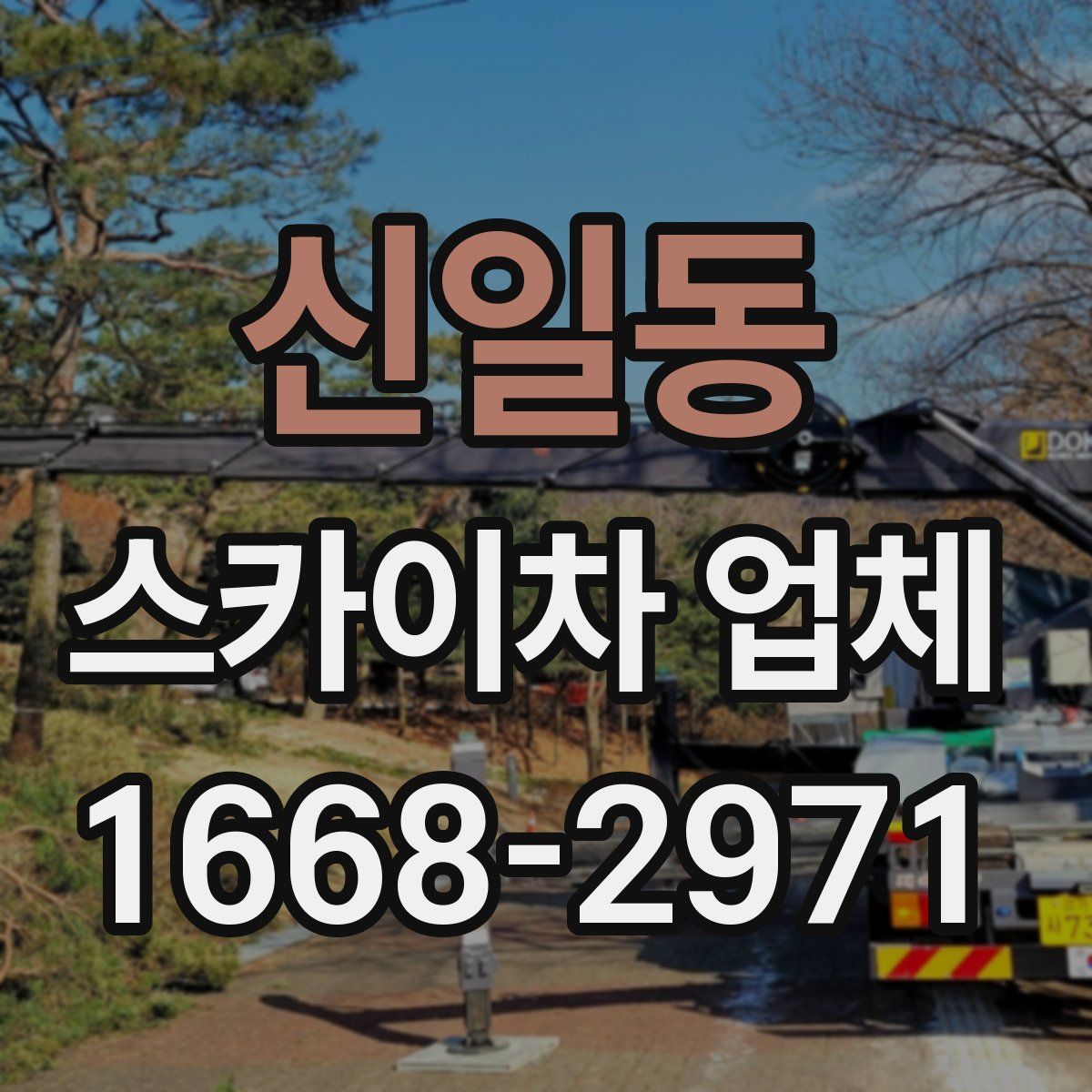 신일동 스카이차 업체