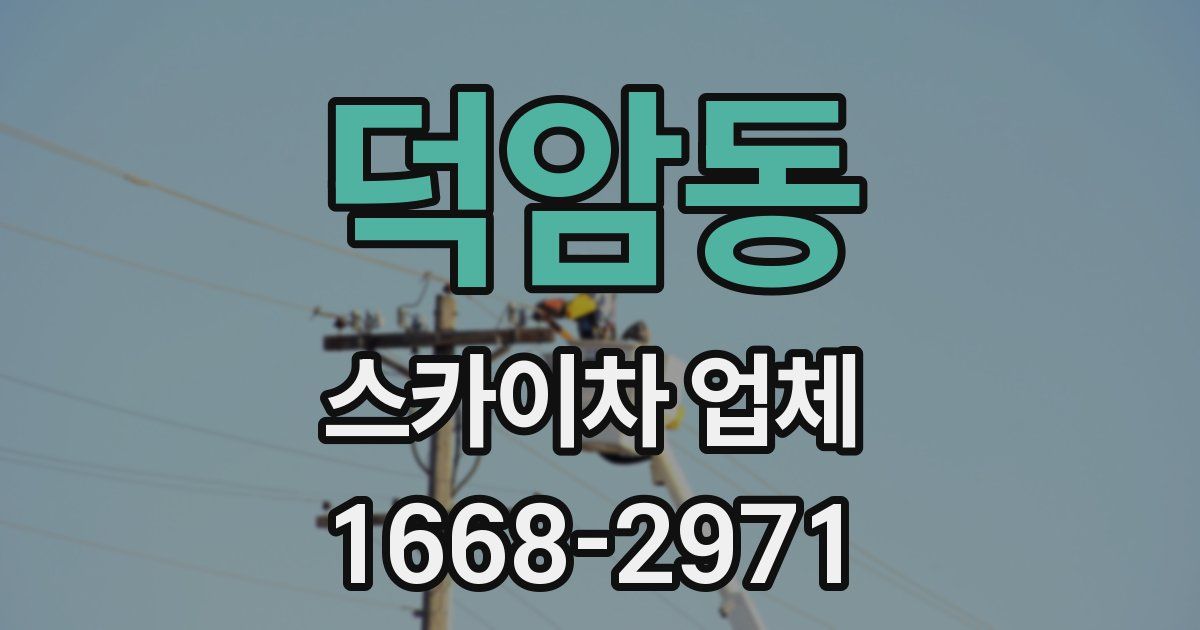덕암동 스카이차 업체