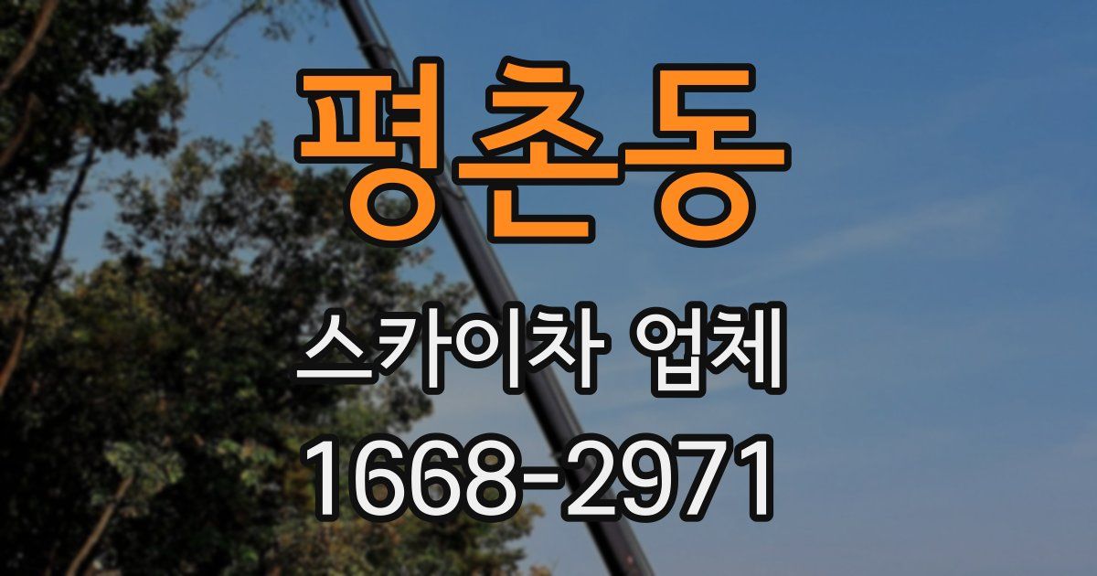 평촌동 스카이차 업체