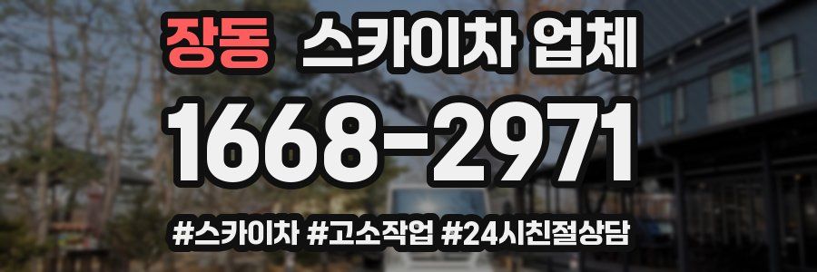 장동 스카이차 업체