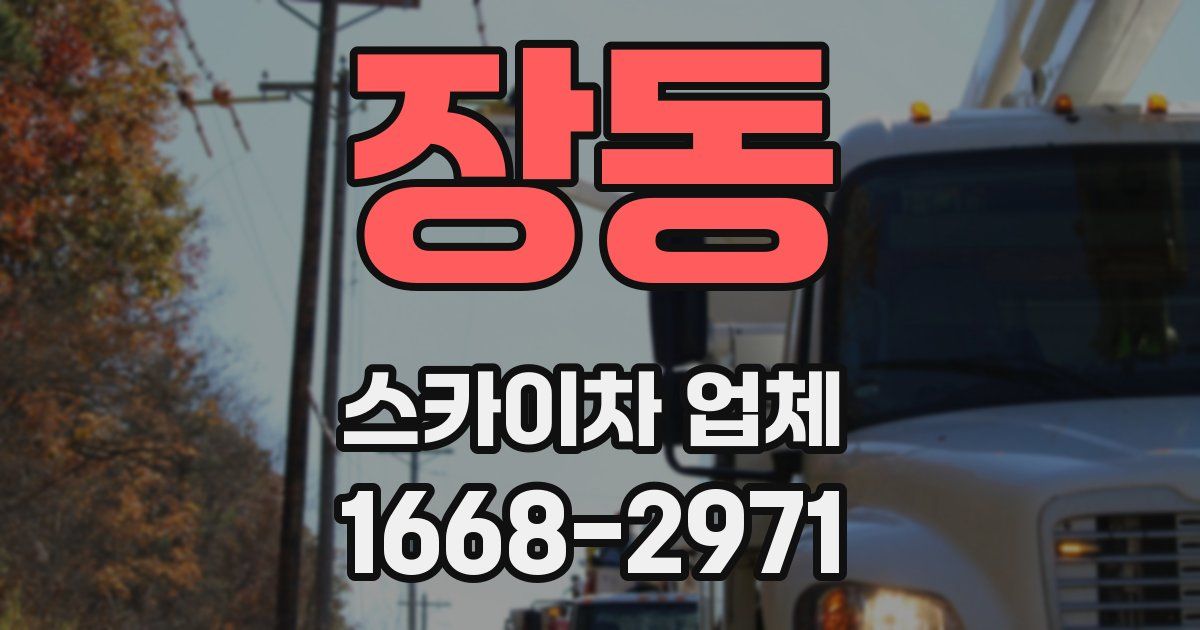 장동 스카이차 업체