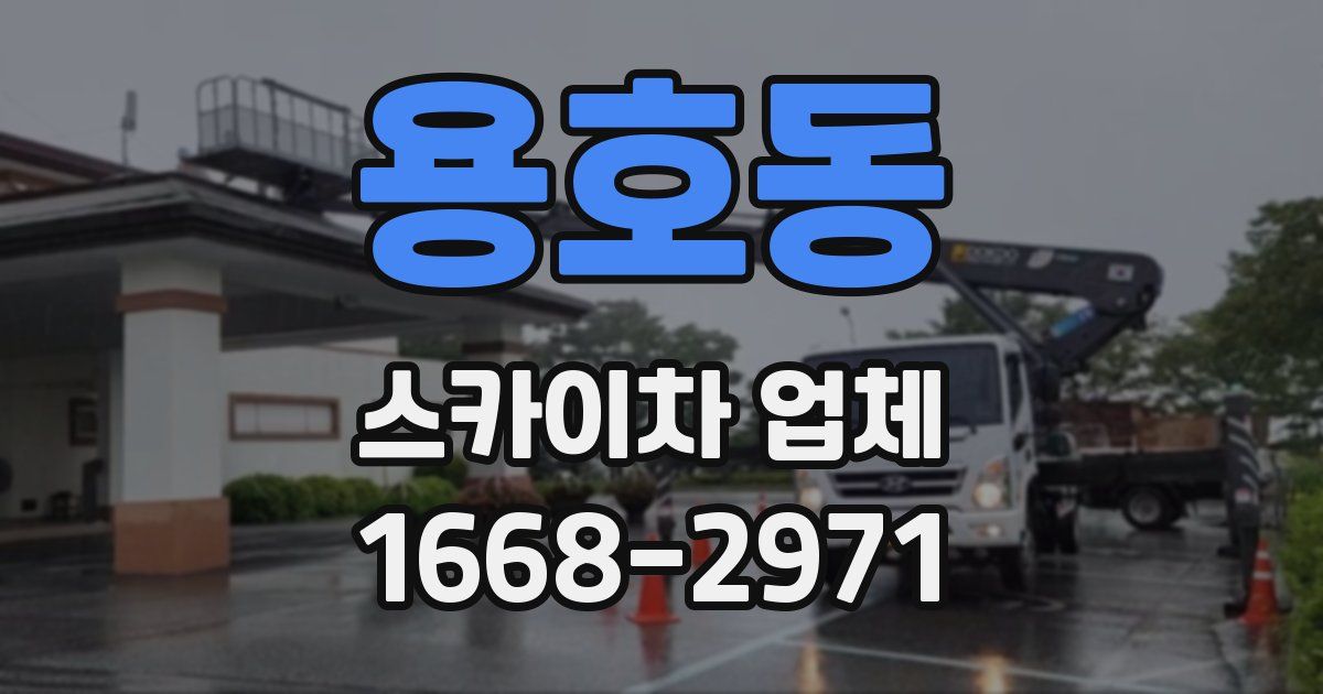 용호동 스카이차 업체
