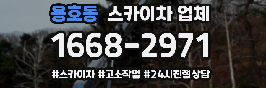 용호동 스카이차 업체