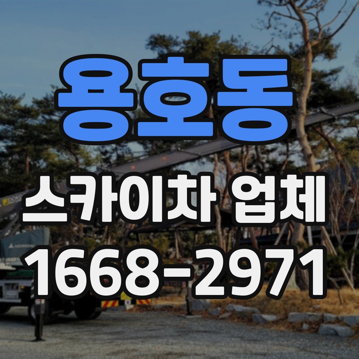 용호동 스카이차 업체