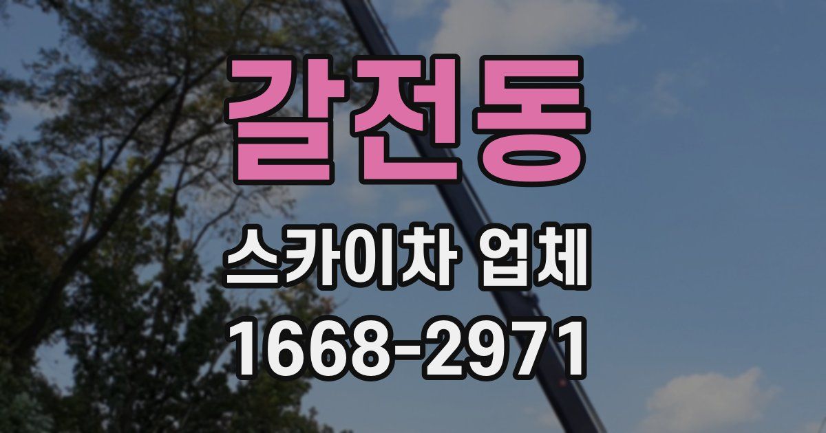 갈전동 스카이차 업체
