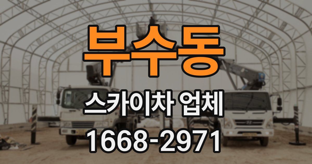 부수동 스카이차 업체