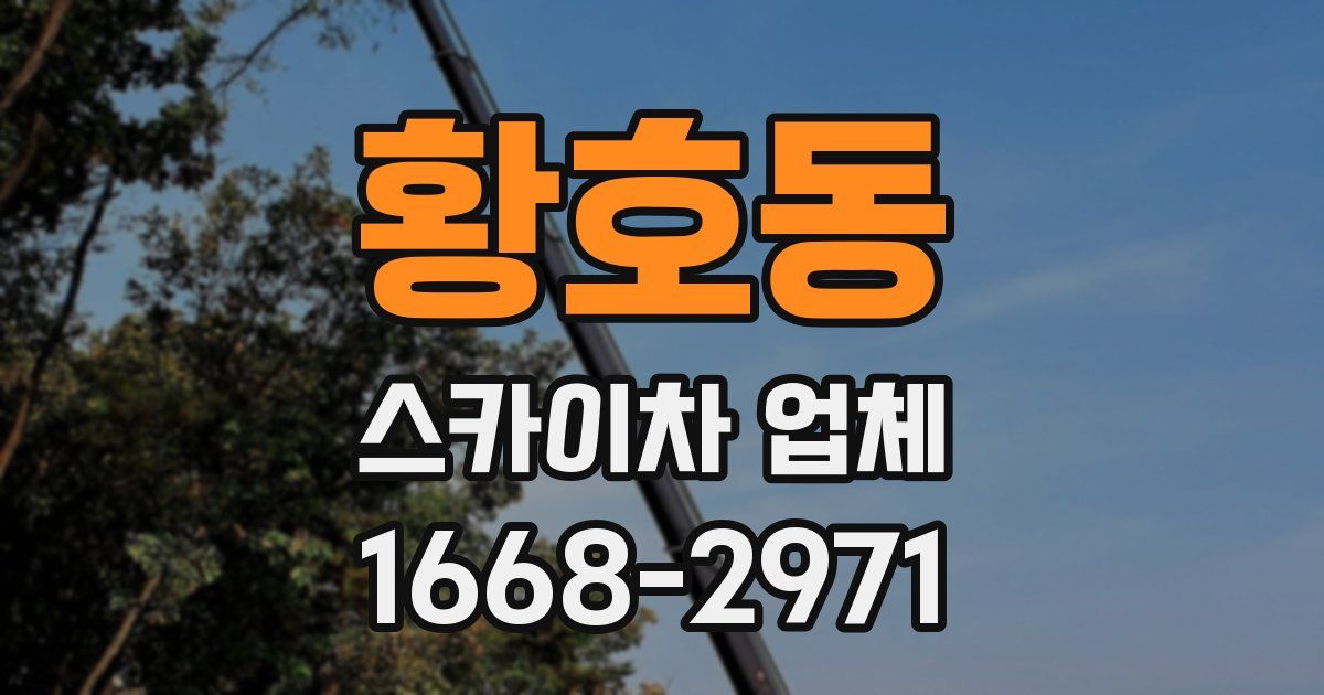 황호동 스카이차 업체
