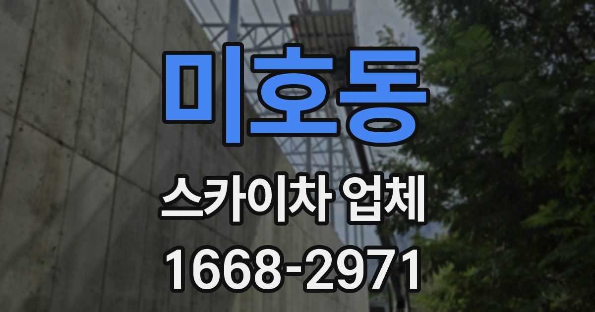 미호동 스카이차 업체