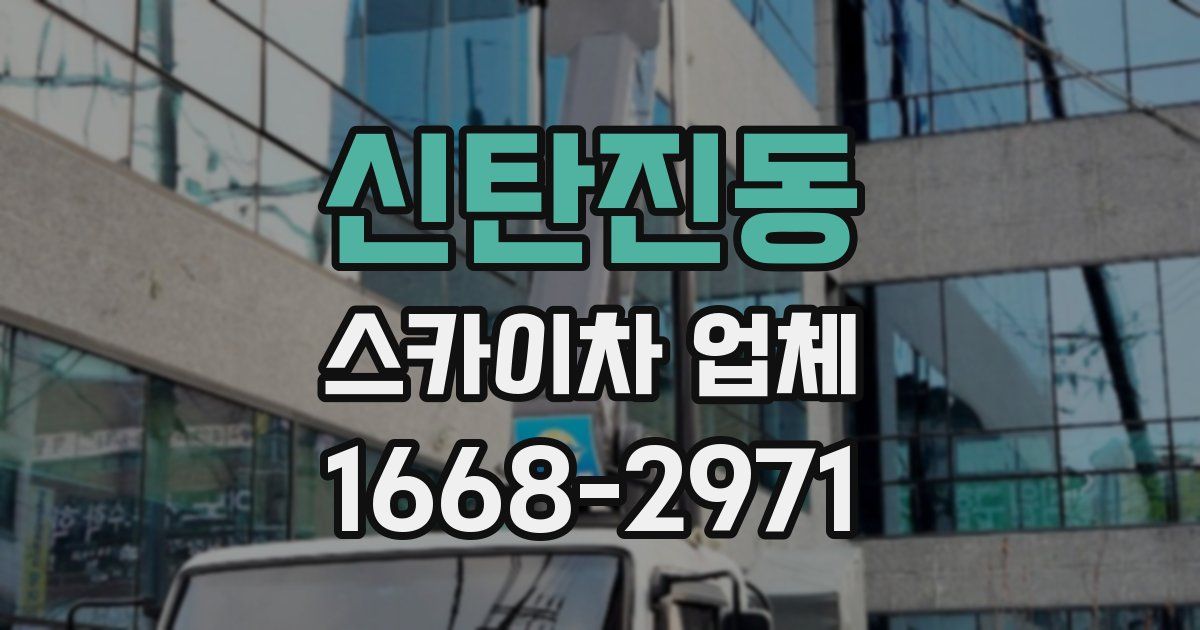 신탄진동 스카이차 업체
