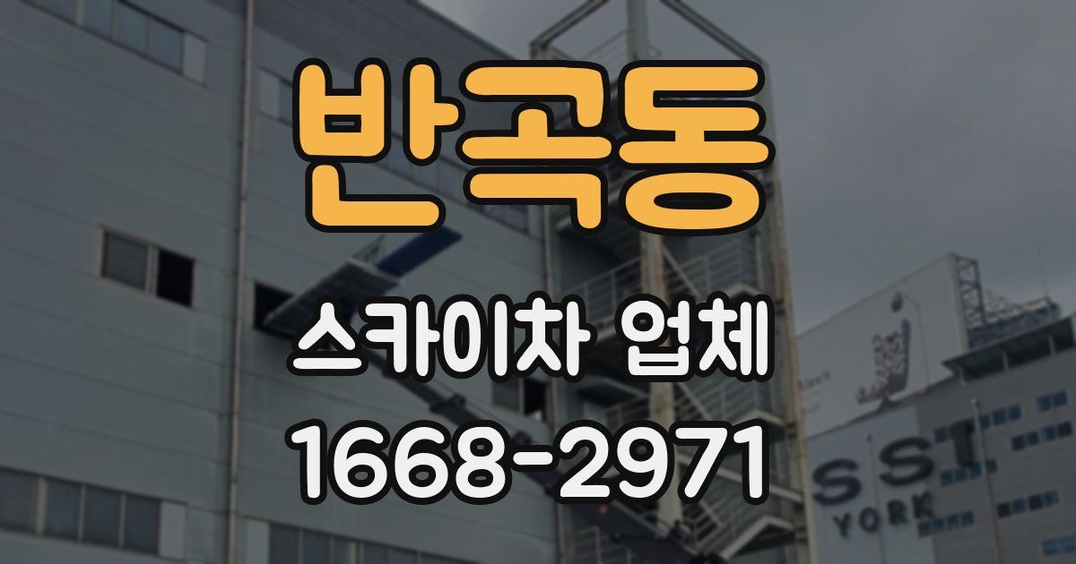 반곡동 스카이차 업체