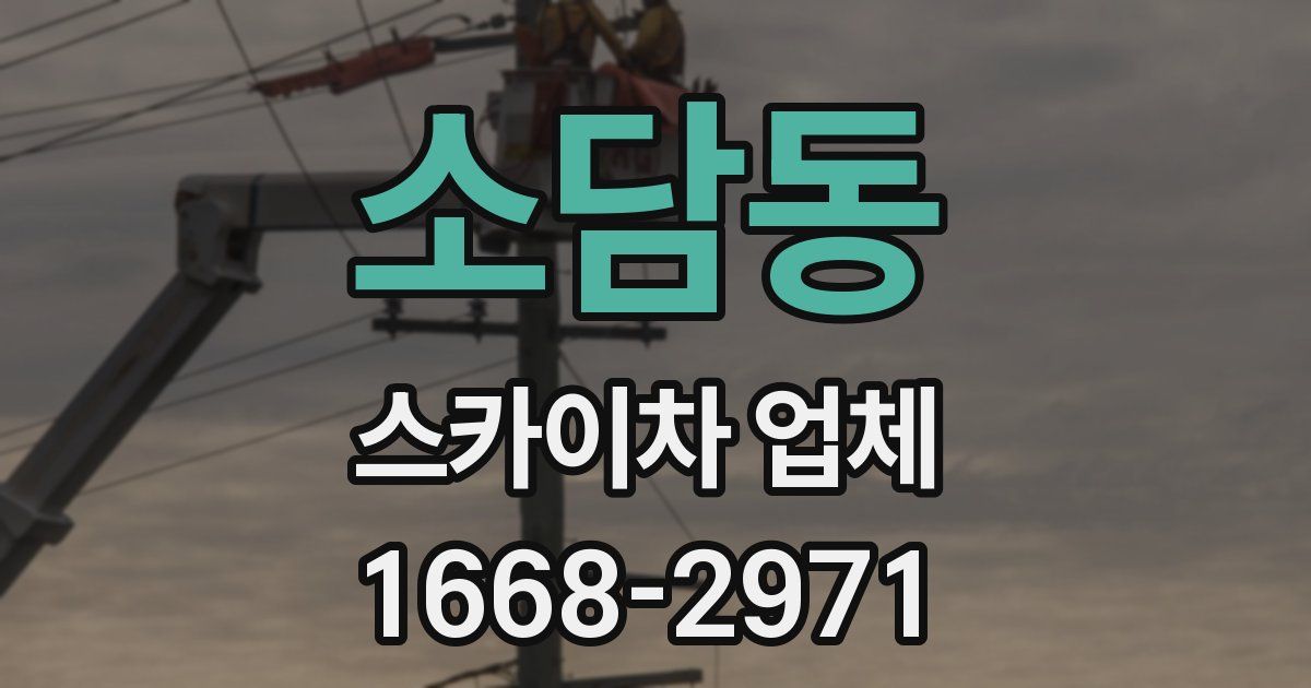 소담동 스카이차 업체