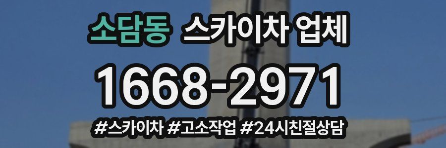 소담동 스카이차 업체