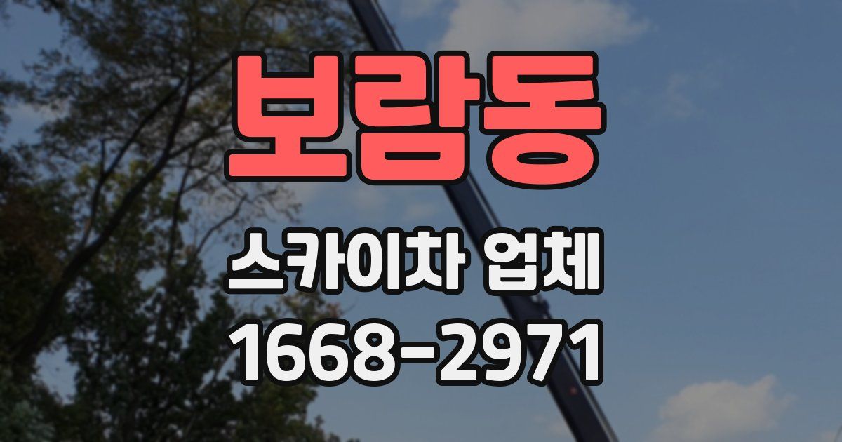 보람동 스카이차 업체