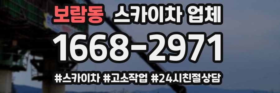 보람동 스카이차 업체