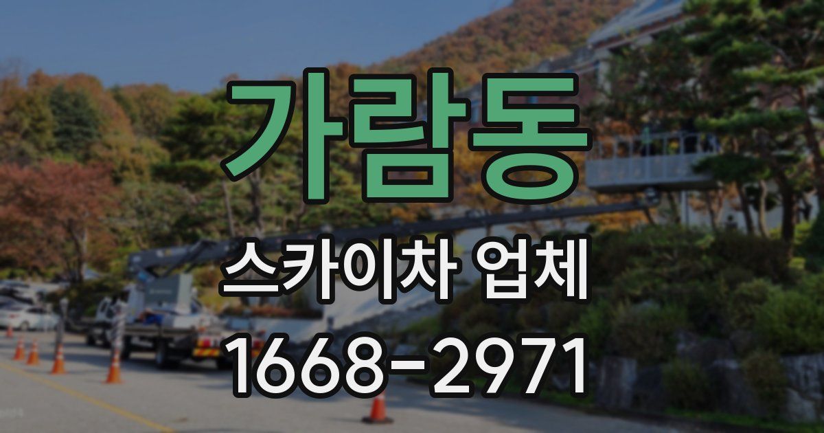 가람동 스카이차 업체