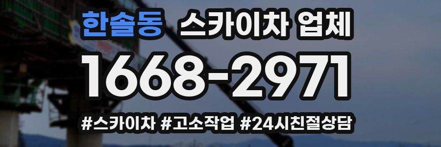 한솔동 스카이차 업체