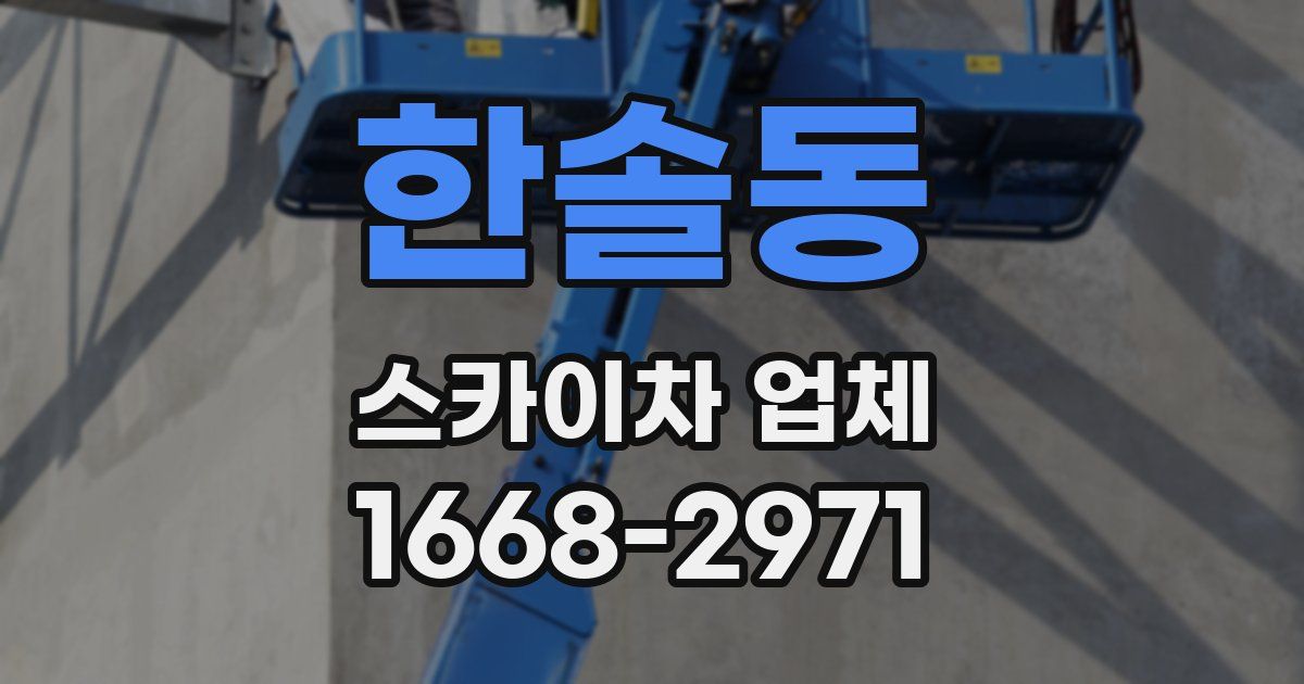 한솔동 스카이차 업체