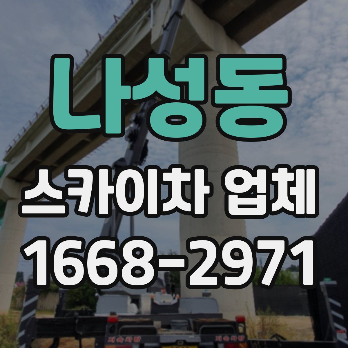 나성동 스카이차 업체