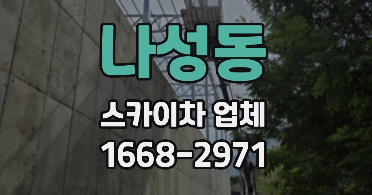 나성동 스카이차 업체