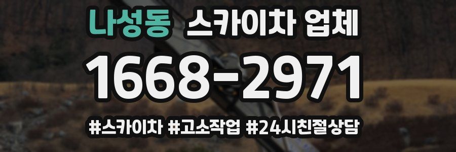 나성동 스카이차 업체