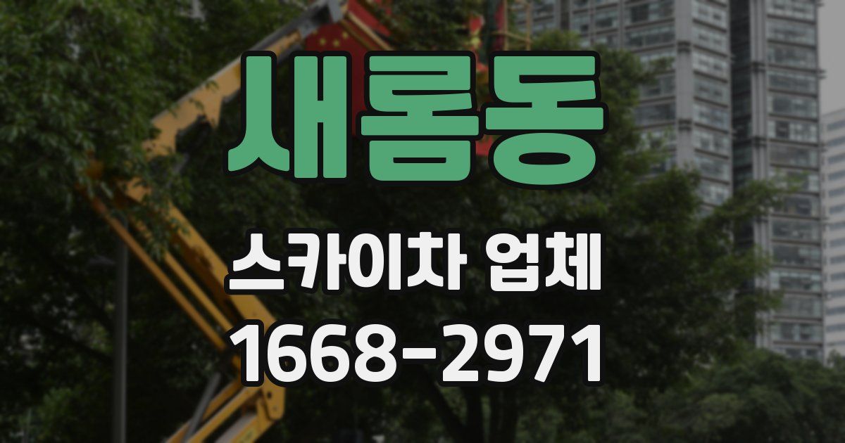 새롬동 스카이차 업체