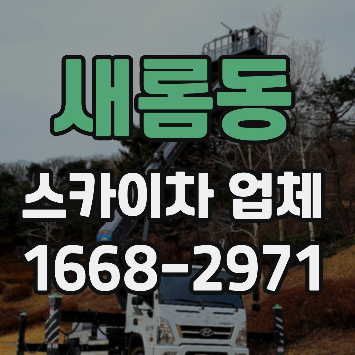 새롬동 스카이차 업체