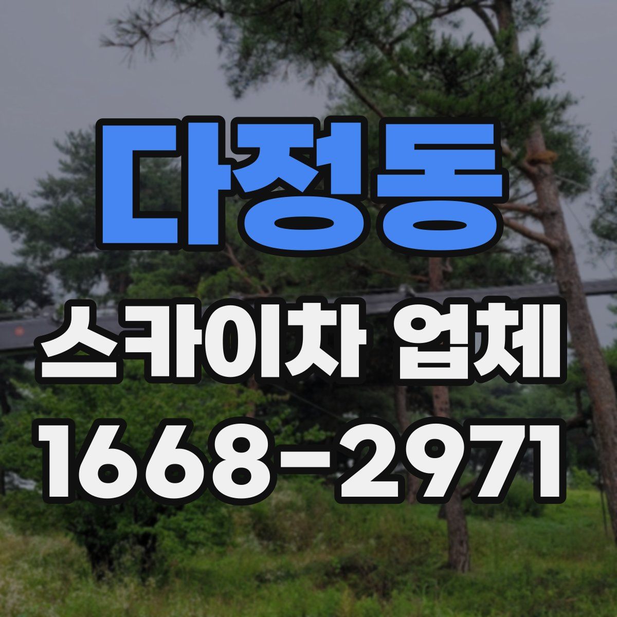 다정동 스카이차 업체