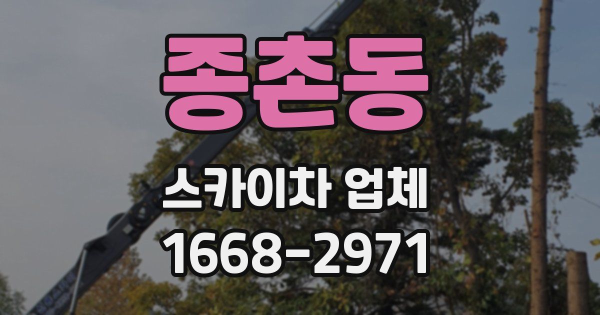 종촌동 스카이차 업체