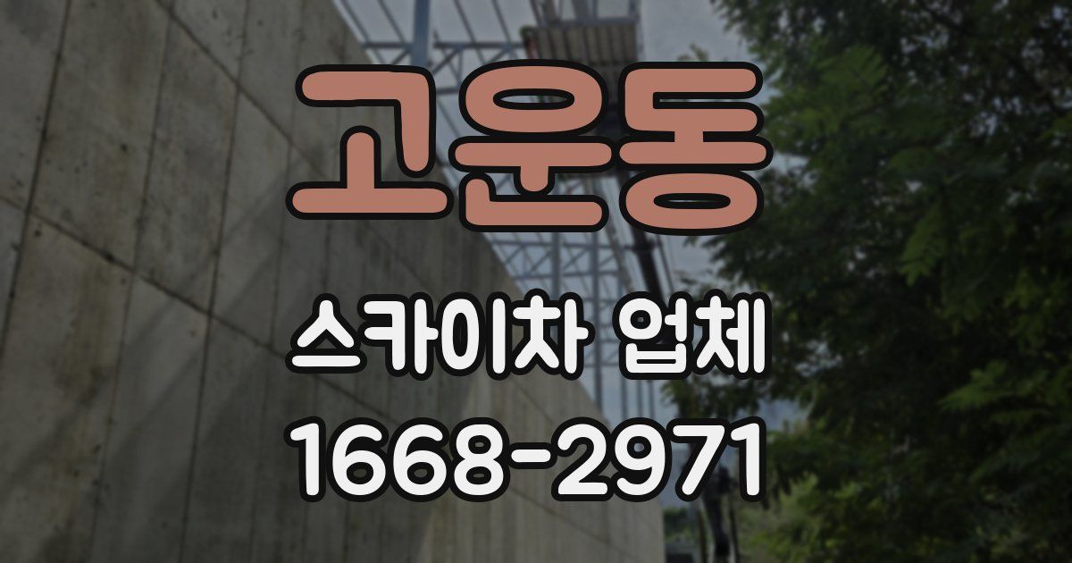고운동 스카이차 업체