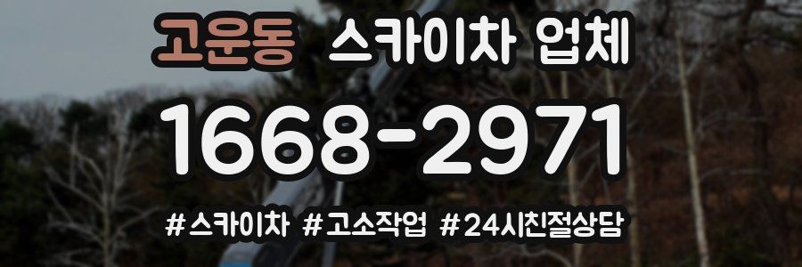 고운동 스카이차 업체