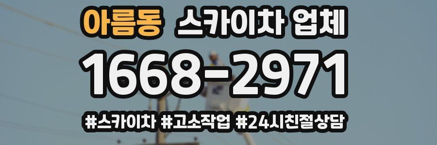 아름동 스카이차 업체