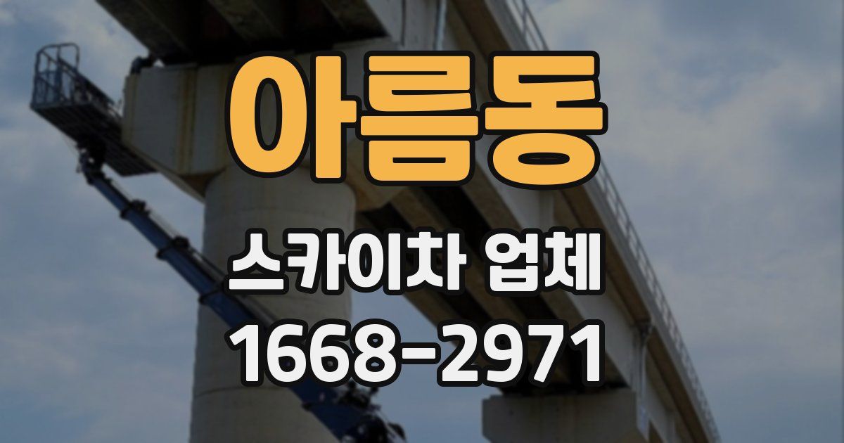 아름동 스카이차 업체