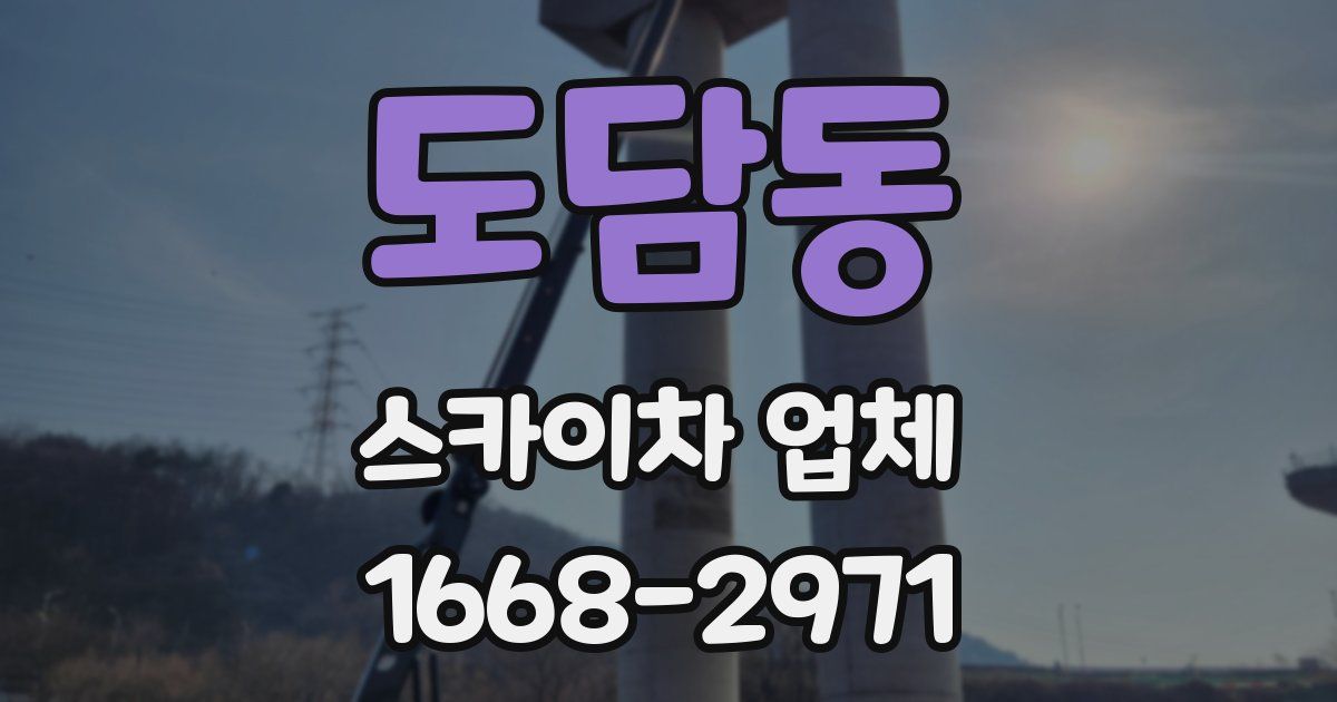 도담동 스카이차 업체