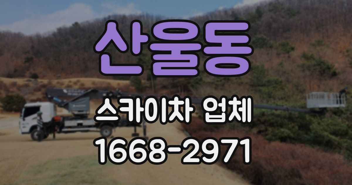 산울동 스카이차 업체