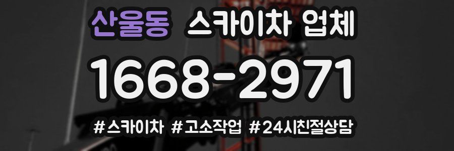 산울동 스카이차 업체