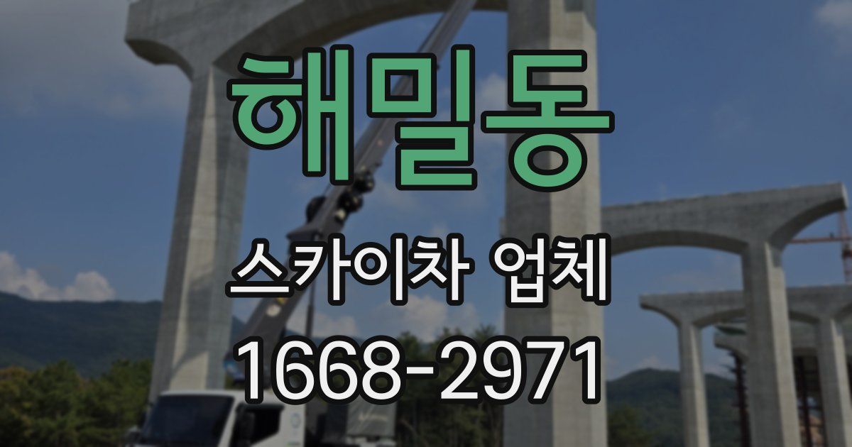해밀동 스카이차 업체