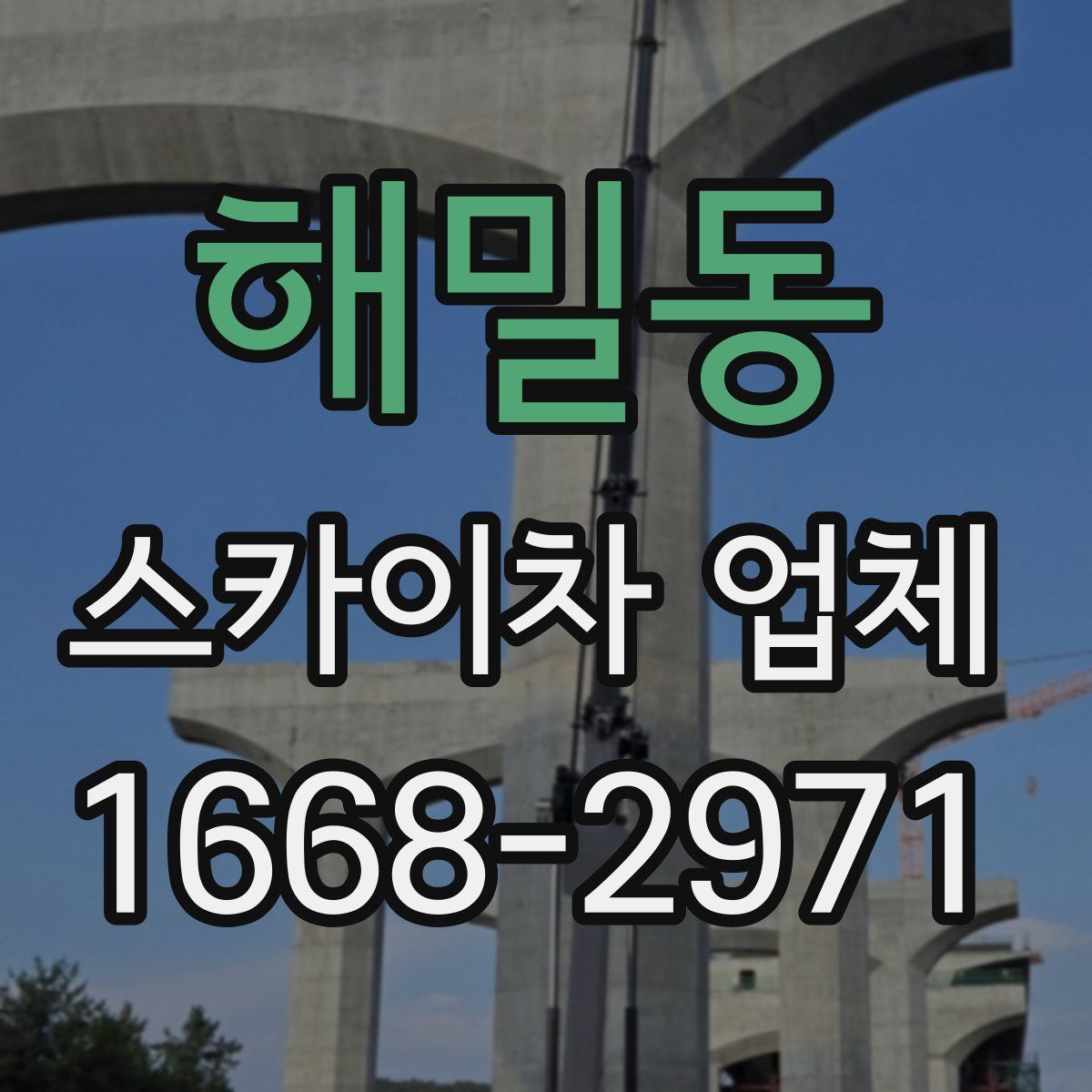 해밀동 스카이차 업체