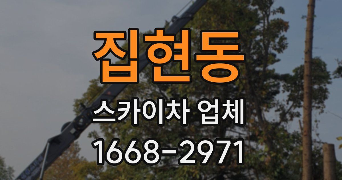 집현동 스카이차 업체