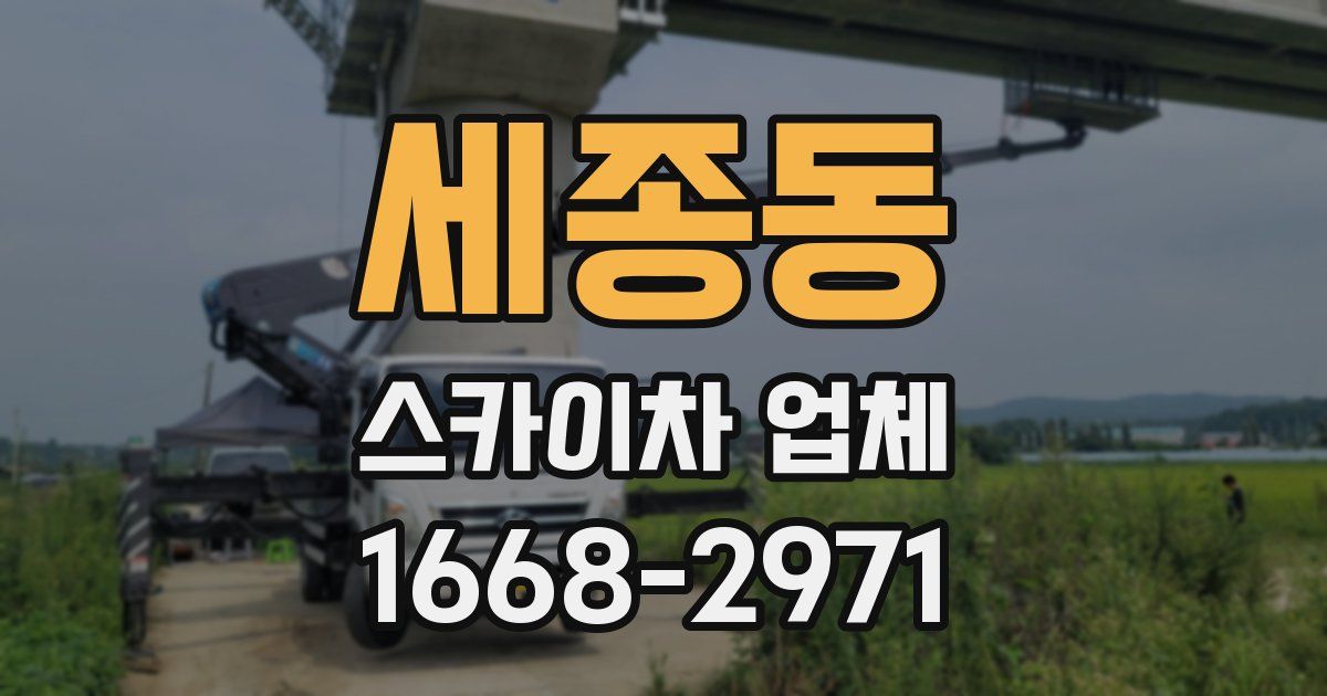 세종동 스카이차 업체