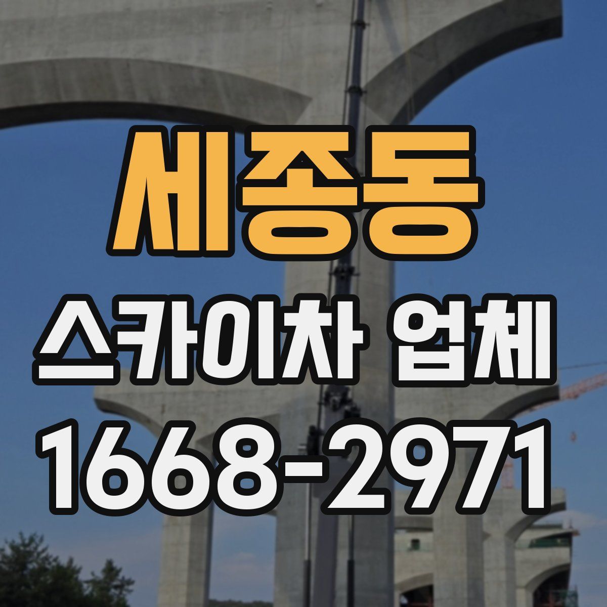 세종동 스카이차 업체