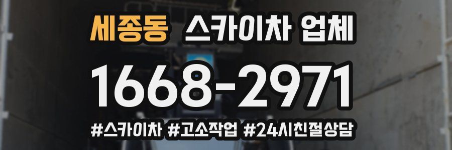 세종동 스카이차 업체