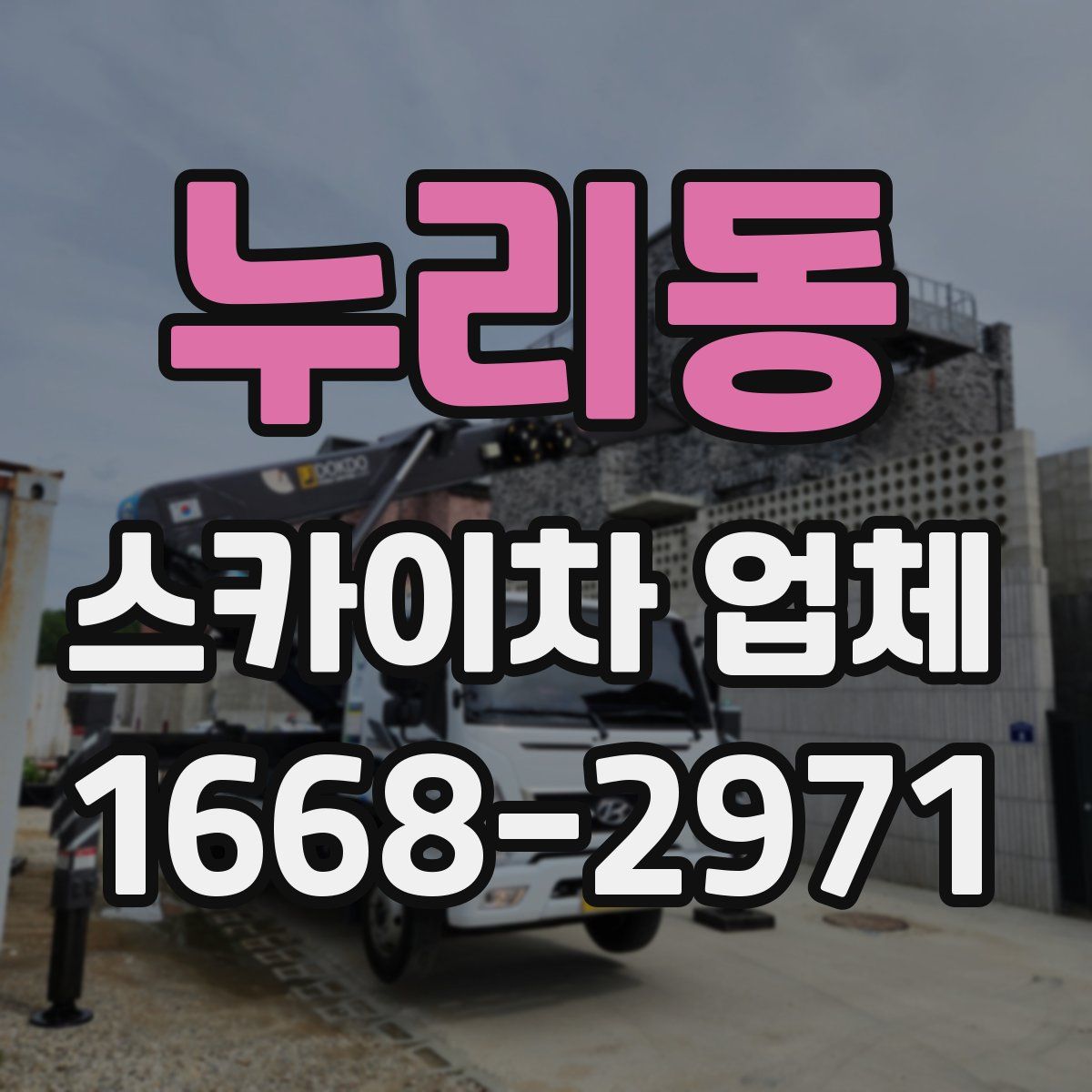 누리동 스카이차 업체
